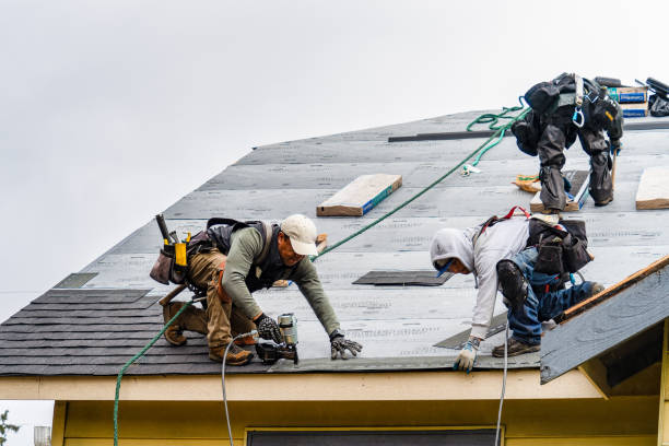 Professional Roofing technician working in Harwood Heights, IL
